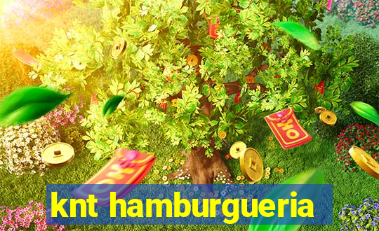 knt hamburgueria